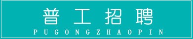 职探长人力资源官网