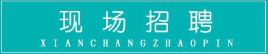 职探长人力资源官网